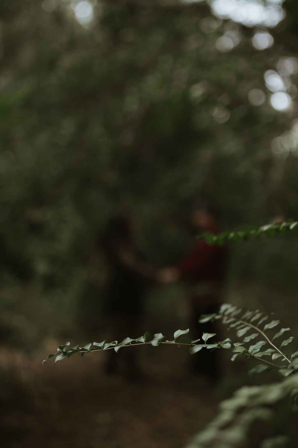 florida-elopement-104.jpg